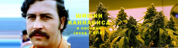 каннабис Белокуриха