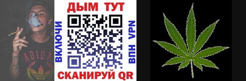 Бошки марихуана планчик  Тамбов 